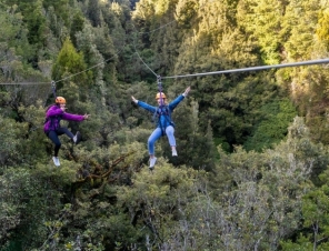 tandem zipline